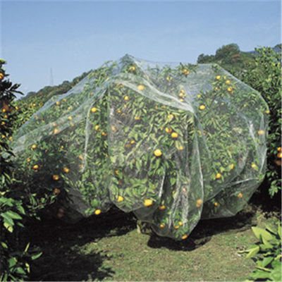 plastic woven anti bird/Hail/Insect net plants protection net manufacturer - Foto 2