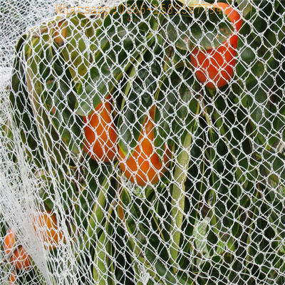plastic woven anti bird/Hail/Insect net plants protection net manufacturer - Foto 3