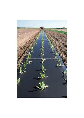 Plástico agrícola negro 400 galgas - rollo 4 x 125 m (500 m2) - Foto 2