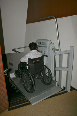 Plataforma Salvaescaleras para silla de ruedas - Foto 2