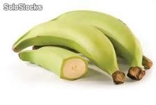 Plátano Hartón Orgánico 100% Cordobés