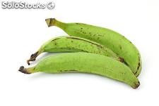 Plátano Verde Ecuatoriano