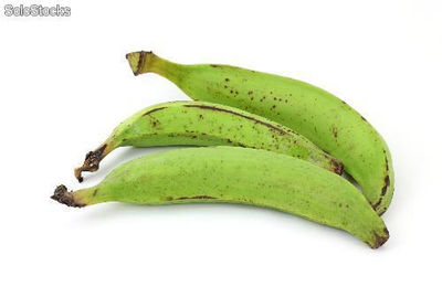 Plátano Verde Ecuatoriano