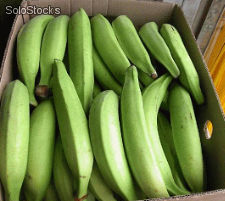 Plátano Verde Ecuatoriano - Foto 2