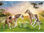 Playmobil Country - 2 Island Ponys mit Fohlen (71000) - 2