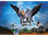 Playmobil Dragons The Nine Realms - Thunder &amp; Tom (71081) - 2
