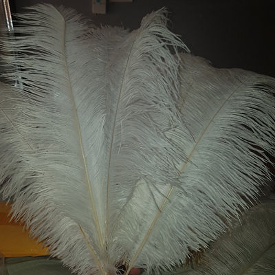 plumas de avestruz blancas Centros de mesa de fiesta de boda Decoración