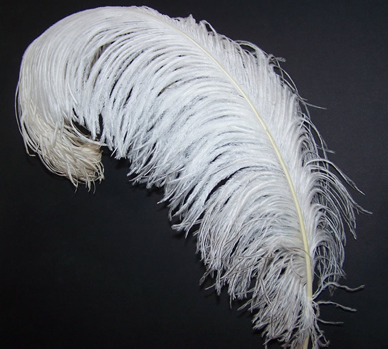 Plumas de avestruz blancas grandes de alta calidad