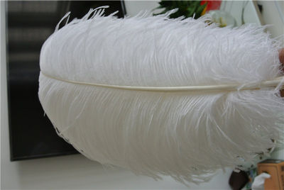 plumas de avestruz decorativos para la venta