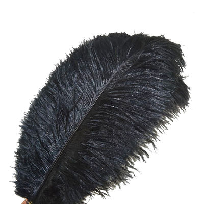 plumas de avestruz naturales para la venta - Foto 2