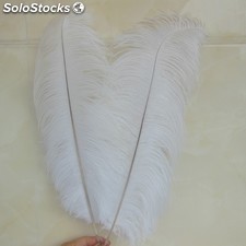 plumas de avestruz para la venta