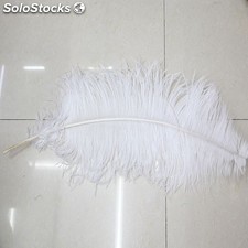 plumas decorativas avestruz