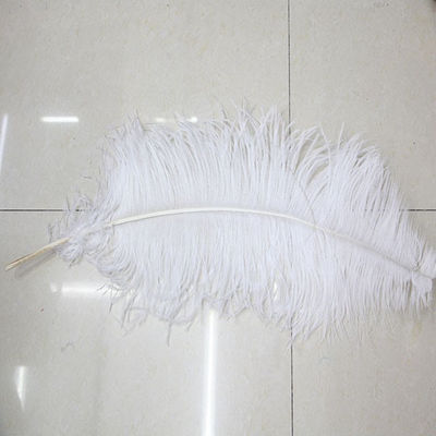 plumas decorativas avestruz