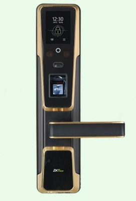 Poignée Intelligent - reconnaissance biométrique hybride ZM100