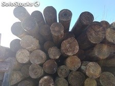 polines -varas y postes secos en chillan