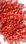 Polipropilene iniezione grado per prodotti casalinghi colore rosso - Foto 4