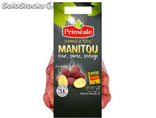 Pomme de terre &#39;manitou&#39;