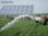 Pompage d&amp;#39;eau de puits par l&amp;#39;énergie solaire et irrigation - Photo 2