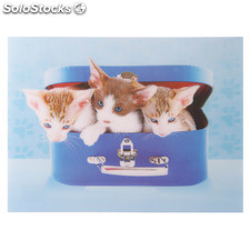 Poster 3D - Gattini in valigia