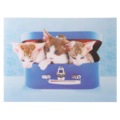 Poster 3D - Gattini in valigia