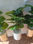 Pot et plante artificielle avec support - Photo 2