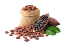 Poudre de cacao 2024.