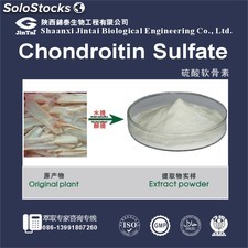 Powder 90% Chondroitin Sulfate