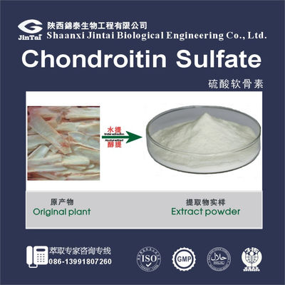 Powder 90% Chondroitin Sulfate