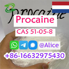 Premium Procaine CAS 51-05-8 Procaine Hydrochloride for Sale