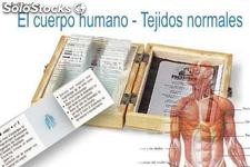Preparaciones 10- el cuerpo humano, tejidos normales i