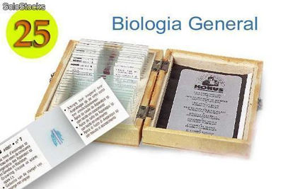 Preparaciones 25 - biologia general
