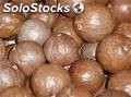 Primas nueces de macadamia - Los mejores precios