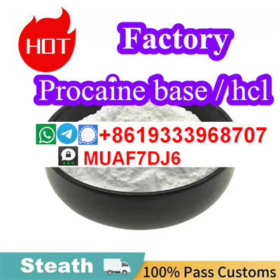 Procaine Base CAS59-46-1 Procaine Hydrochloride Wholesale to holland - Photo 4