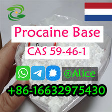 Procaine CAS 59-46-1 Procaine Base Limited Stock