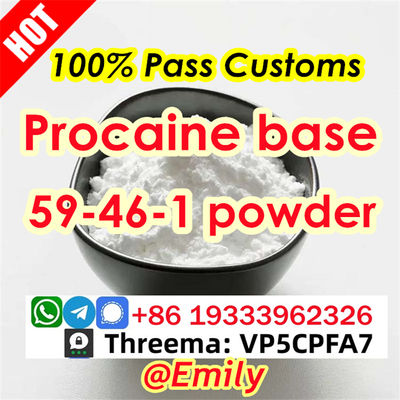 Procaine cas59-46-1 powder Procaine base Supplier Safe Delivery Procaine powder