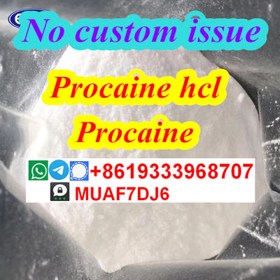 Procaine cas59-46-1 procaine Base procaine powder for sale netherlands