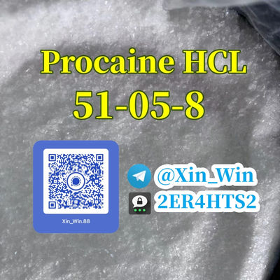 Procaine HCL CAS 51-05-8 Procaine Hydrochloride - Photo 5