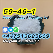 Procaine hcl procaine hydrochloride cas 51-05-8, 59-46-1