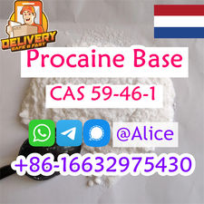 Procaine supplier CAS 59-46-1