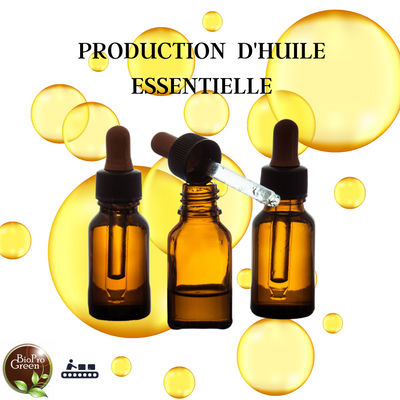 Production d&#39;huile essentielle