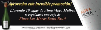 Promoción de vino Alma Mora - Finca Las Moras