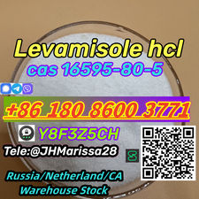 Promotional CAS 16595-80-5 Levamisole hydrochloride Threema: Y8F3Z5CH