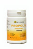Propolis 500 mg 40 comprimés