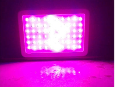 Przydomowa uprawa roslin 1000W Lampa LED 10W wysokiej penetracji swiatla GROW - Zdjęcie 2