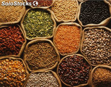 Pulses (Chickpeas, Lentils, Dhals, Kidney Beans, Pigeon Peas, Yellow Peas, Mung)