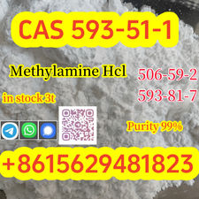 Purity 99% Methylamine hydrochloride CAS 593-51-1 Large quantity available from