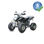 Quad 250cc ATV Ruedas aluminio + enganche remolque - 2