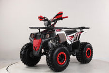 Quad hunter 125 2024