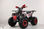 Quad hunter 125 2024 - 1