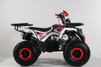 Quad hunter 125 2024 - Foto 2